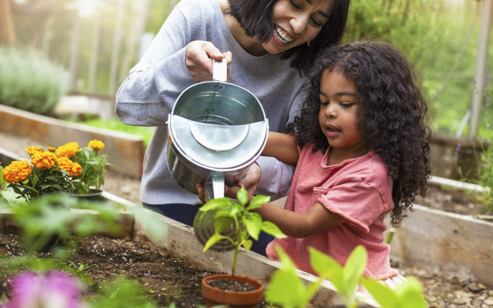 10 Benefits of Gardening