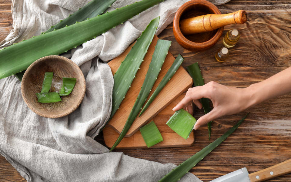 Aloe Vera: The Ultimate Guide