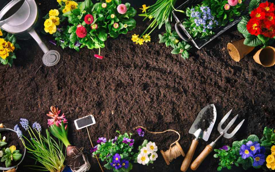 Gardening Ideas: Bring Nature Back To Your Garden