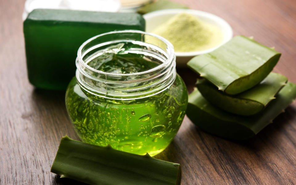 Medicinal Applications of Aloe Vera