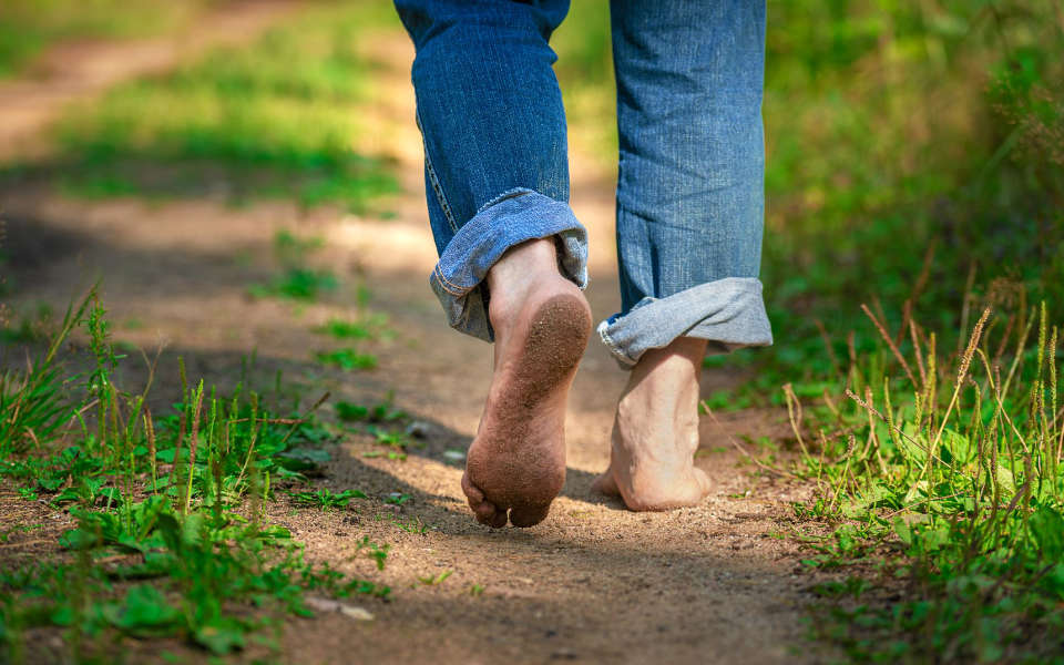 The Power of Earthing The Power of Earthing
