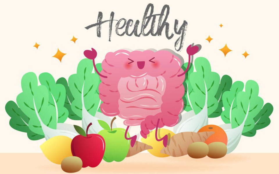 Gut Health: Effects, Signs and Immunity The Microbiome Diet